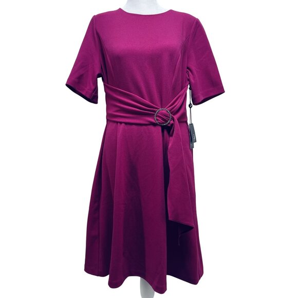 Adrianna Papell Fuchsia Belted A-Line party Dress With Rhinestone Buckle Size 12 - Picture 1 of 11